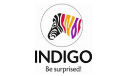 Indigo Paints Limited